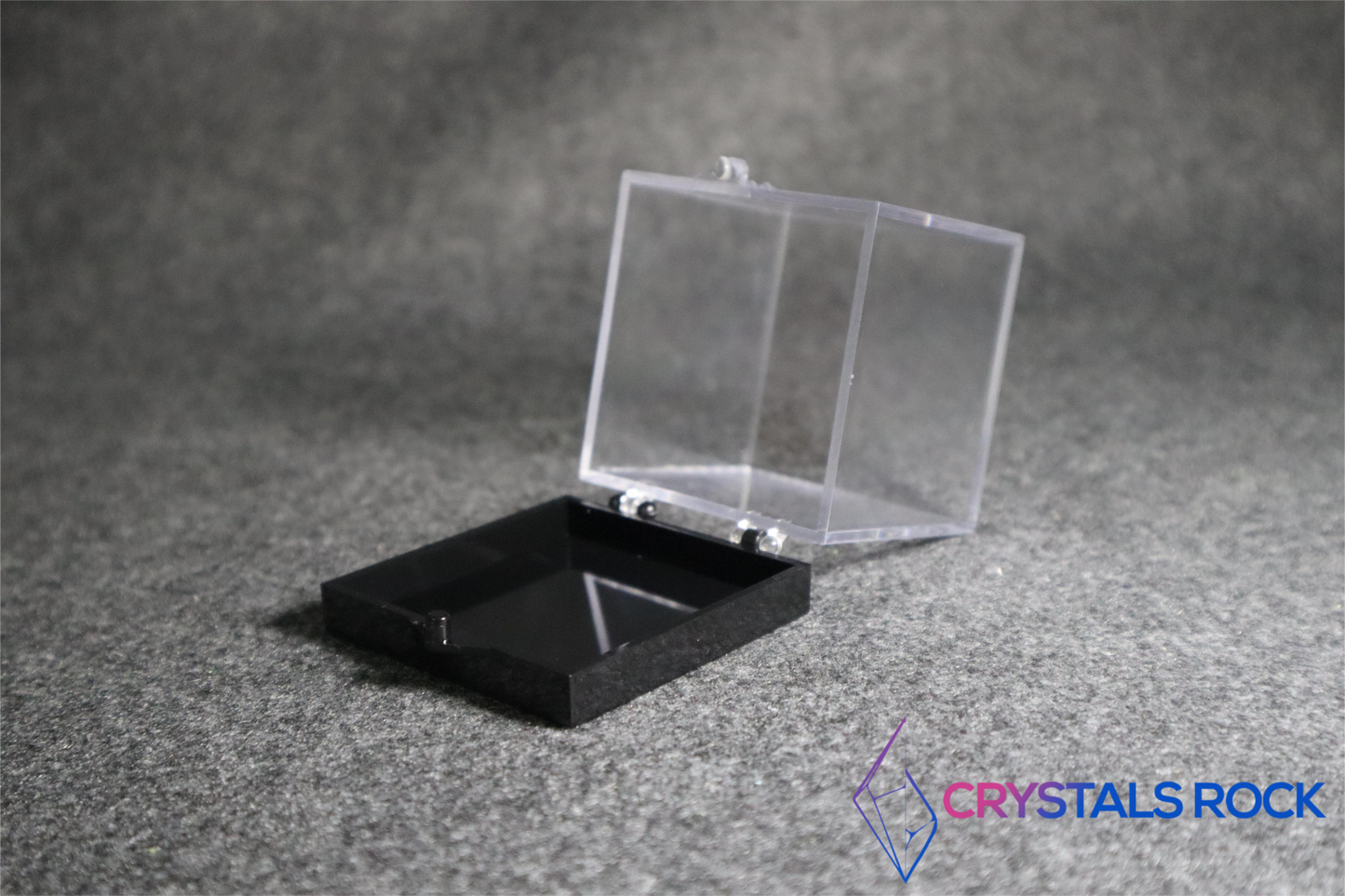 Specimen Display Box