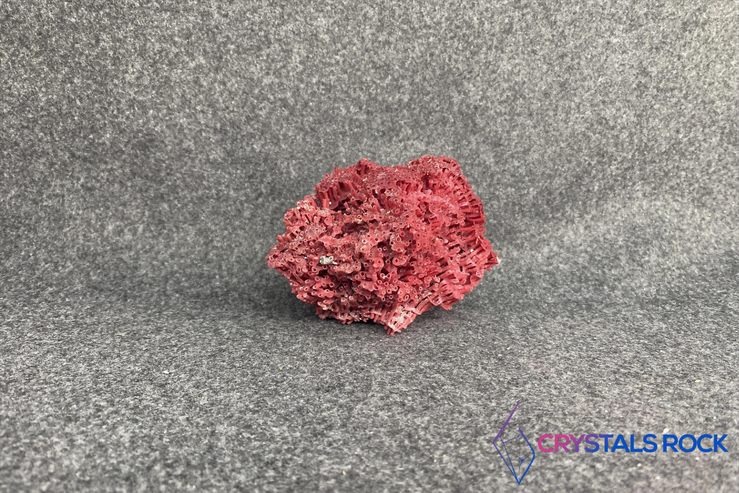 The re coral