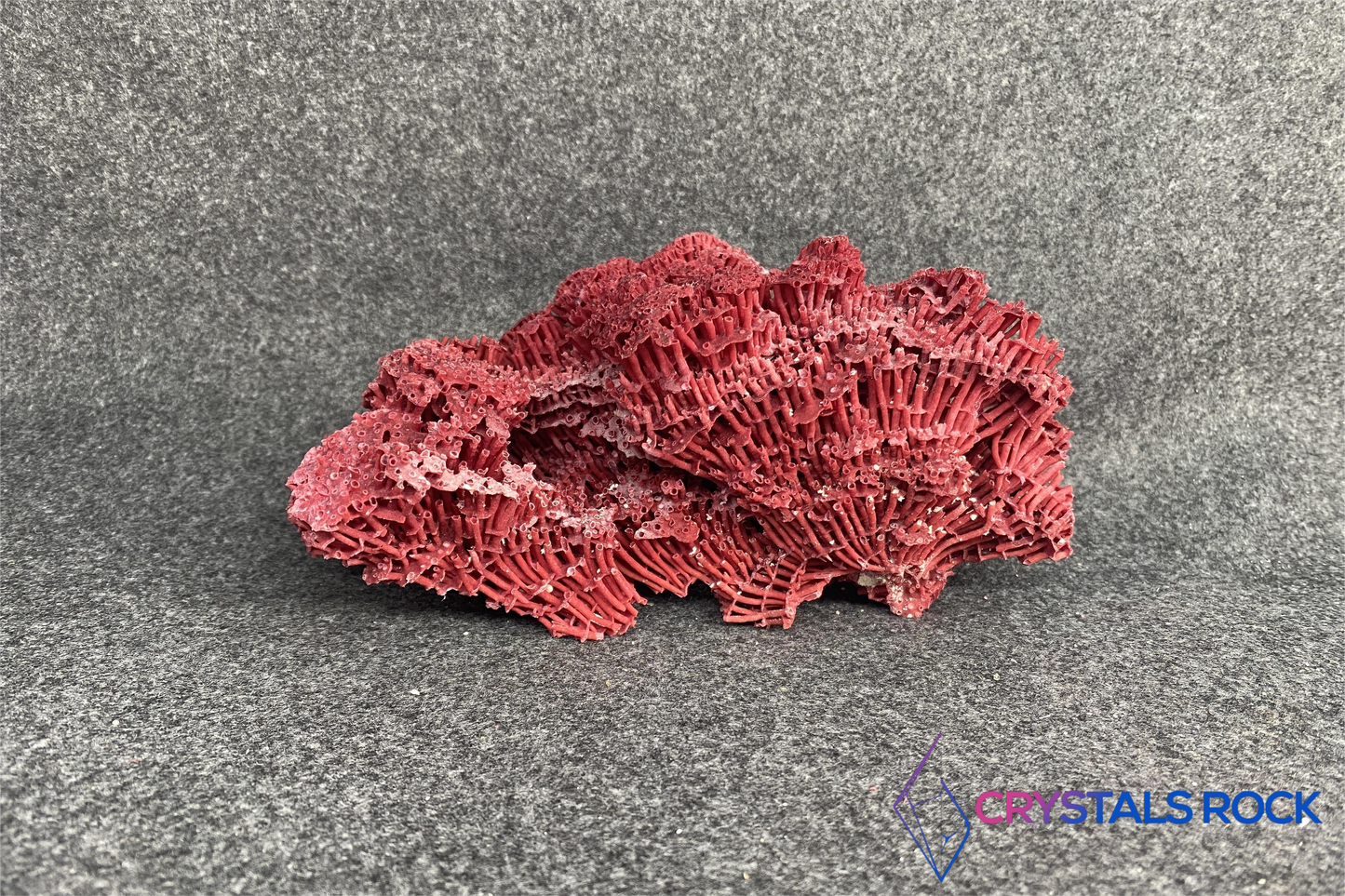 The re coral