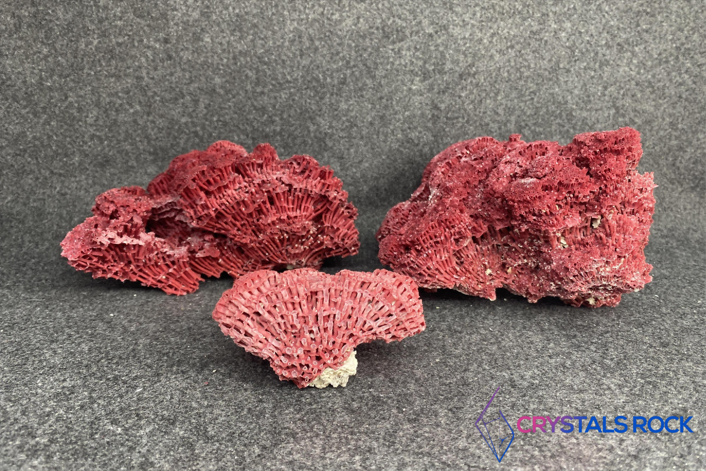 The re coral