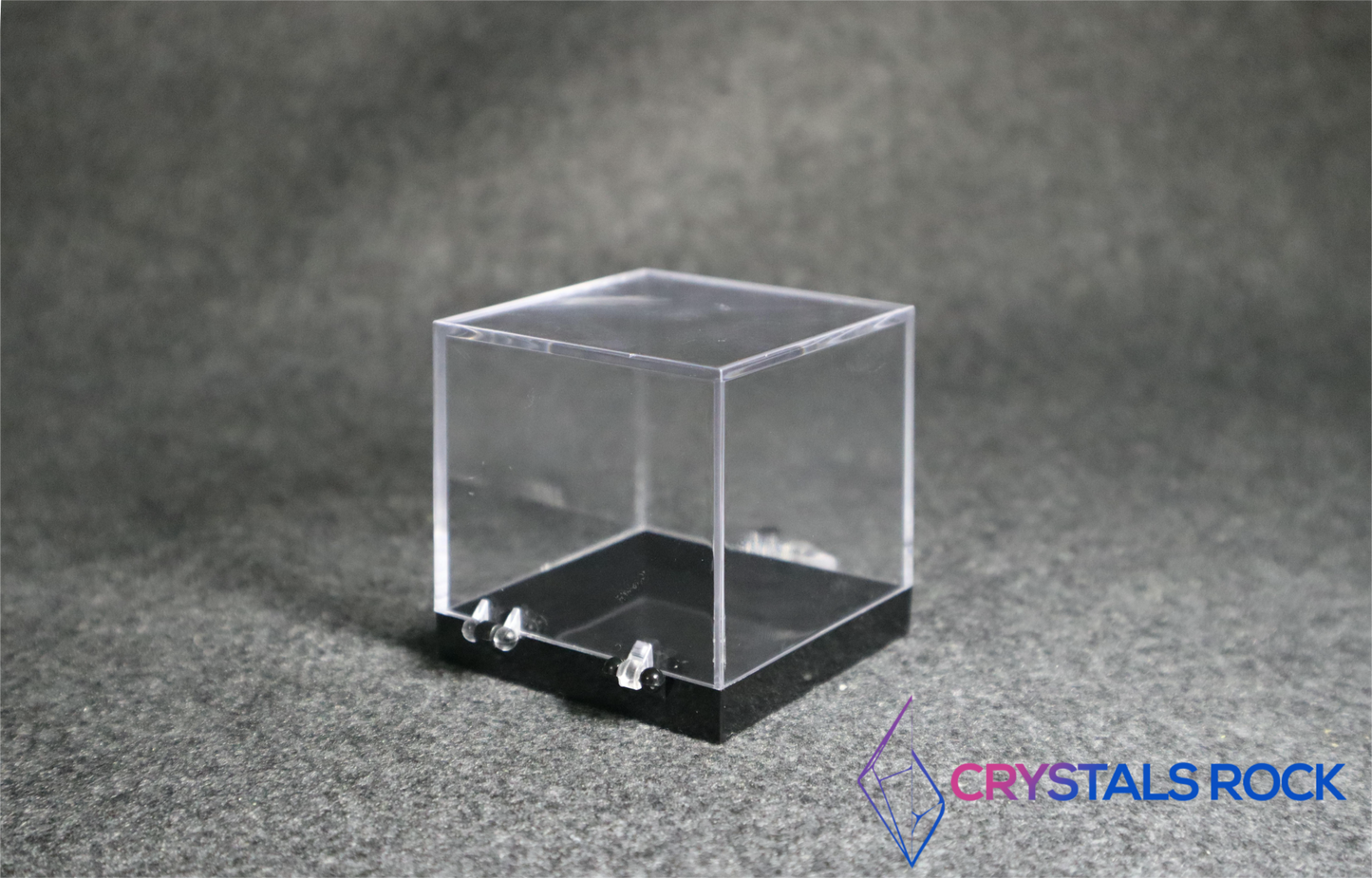 Specimen Display Box